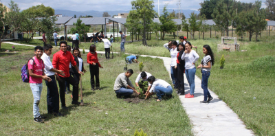 Actividades de reforestación y embellecimiento del Campus VIII-Comitán Unach.