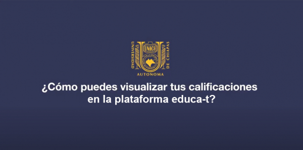 ¿Como puedes ver tus calificaciones?