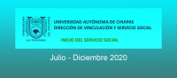 Inicio de Servicio Social período julio-diciembre 2020