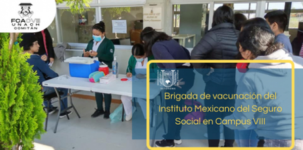Brigada de vacunación del Instituto Mexicano del Seguro Social.